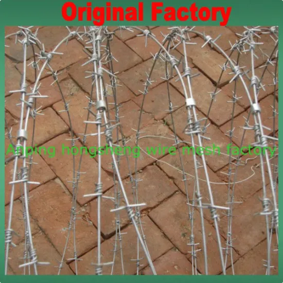 2013 Crazy Selling !!! Hot dip galvanized Barbed Wire