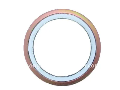 SWG CGI S304 GRAPHITE gasket