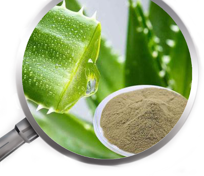 Aloe Vera Extract Png