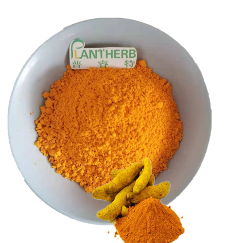 Anti-Aging-Kurkuma-Extrakt 95 Curcumin-Pulver