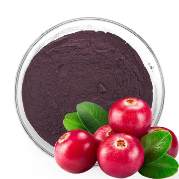 Cranberry Extract 5%-60% Proanthocyanidins