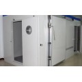 Elatstic Automatic Sliding Cold Storage Door