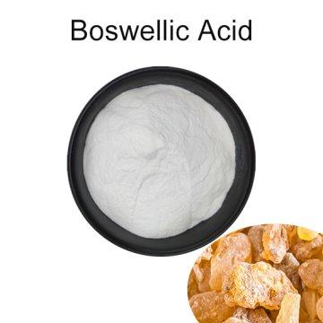 Plant Extract Boswellia Serrata Extract Boswellic Acid