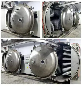 food freeze dryer for sale