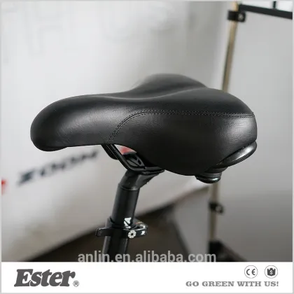 2016 environtmental tourism ESTER electric pedicab with Tektro brake