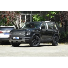 HAVAL Fierce Dragon 5-Seater with 110KM Battery
