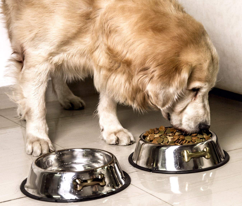 32 Oz Stainless Steel Dog Bowls