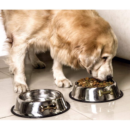32 oz Bowls Dog Steel Stainless