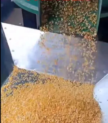 New Grain Shelling Machine Adoption in Agriculture