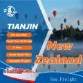 Low Cost Sea Freight FromTianjin To New Zealand