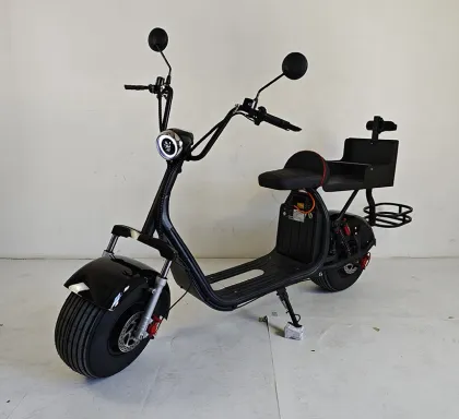 Electric Golf Scooters and Cart Motors for US/European Warehouses