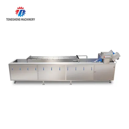 Commercial Vegetable and Fruit Washing Machine