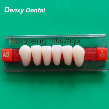 Dental Resin Teeth Golden 96PCS Anterior Two Layers Upper