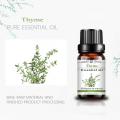 100% Pure Grade Wholesale Natural Organic Fresh Thyme Essential Oil at Competitive Price