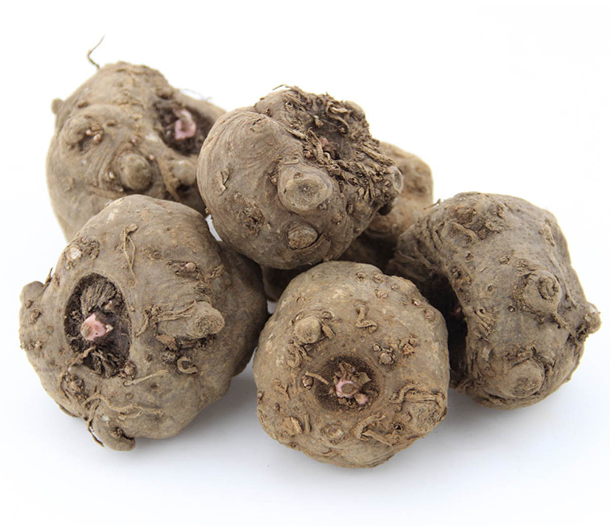 Konjac Powder Manufacturer