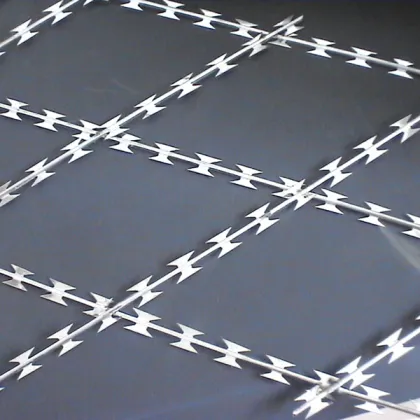Security fence razor barbed wire