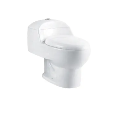 South American Countries Popular Cheap Ceramic Train Public Toilet Seats