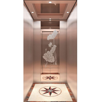 High Quality Mini House Villa Hydraulic Elevator for Small Spaces
