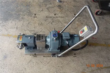 Factory Price Ace Stainless Steel Rotary Lobe Oil Pump by Marzocchi Gear from Professional Manufacturer