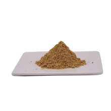 Angelica Extract Angelica Sinensis Extract Ligustilide