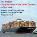 Serviços de frete de mar de Shantou a Nova York