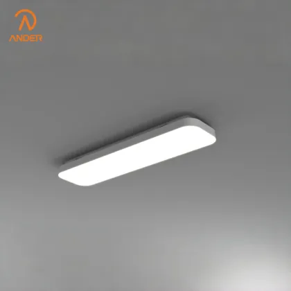 Minimalist Multi-Scenario LED Ceiling Light
