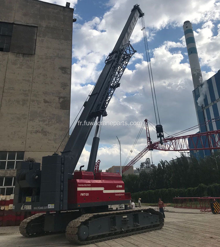 Grue télescopique sur chenilles à vendre