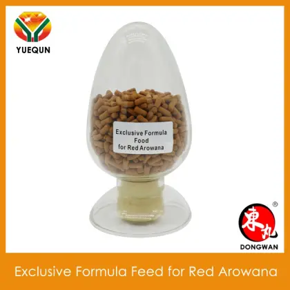 Compound feed for Red Arowana