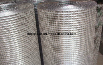 Electro Galvanized Welded Wire Mesh Roll (DP-WWMR15)