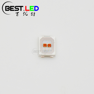 2-Chips 1W 590nm 595nm 2835 SMD Yellow LED
