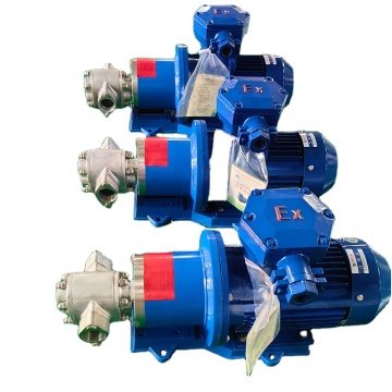 Customizable Stainless Steel Magnetic Gear Pump - Leak-Free, Fully Sealed Oil Delivery Pump