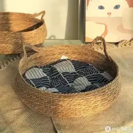 Stylish Pet Bed for Your Beloved Cat
