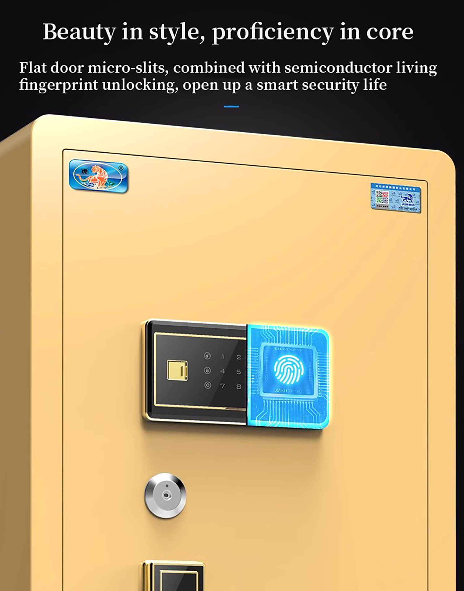 fingerprint safe box