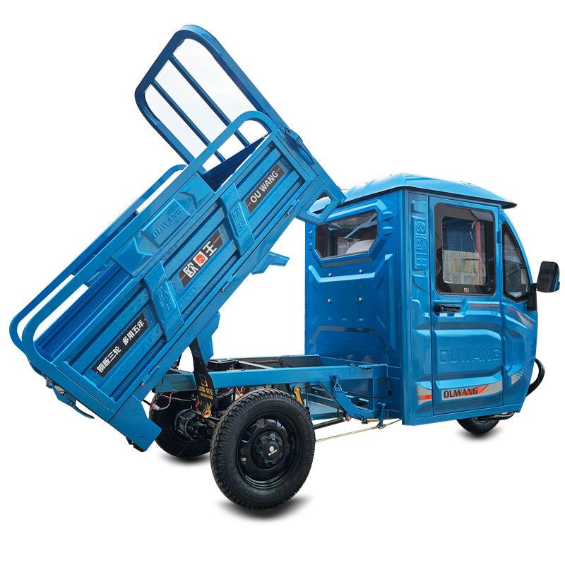 Electric Dump Tricycle: Affordable Enclosed Transport Trolley for Farm Use