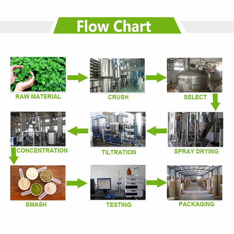 Herbal Extract Flow Chart