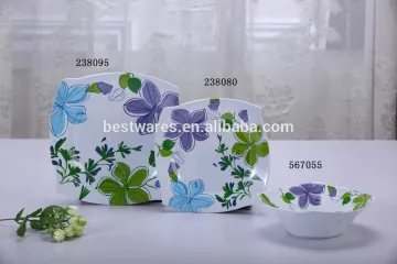 Plastic custom dish set