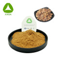 Alpinia extract poeder sharplaf galangal fruit