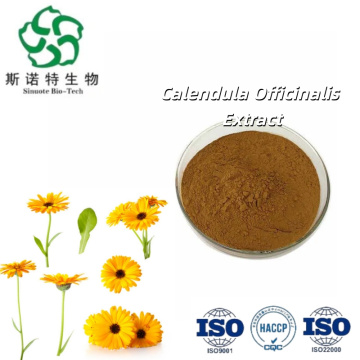 Premium Astragalus Membranaceus Root Extract