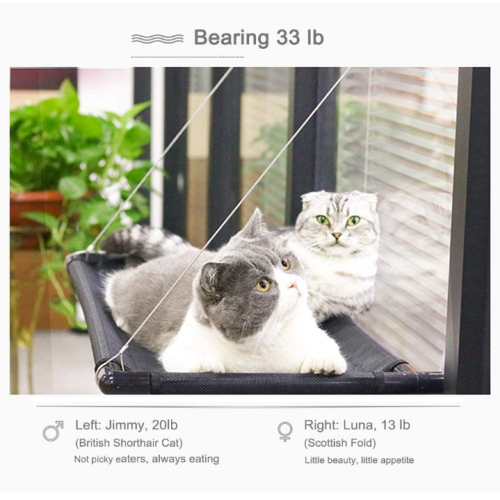 Cat Hammock Window Seap