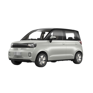High-Speed RHD Electric Car - Factory Supply in China