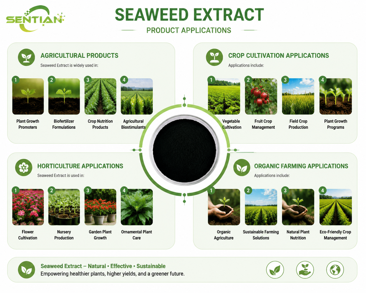 Seaweed Extract（2）