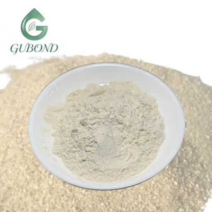 Rice Bran Extract (Ceramide) Powder for Dietary Supplements