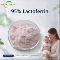Bovine Lactoferrin Powder 95% for Nutritional and Infant Formula Applications