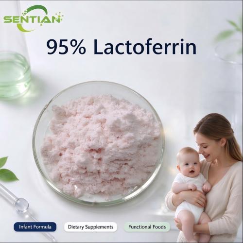 Bovine Lactoferrin Powder 95% for Nutritional and Infant Formula Applications