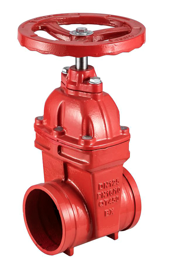 Customizable Grooved Gate Valve
