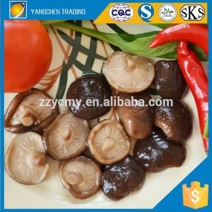 canned shiitake mushroom