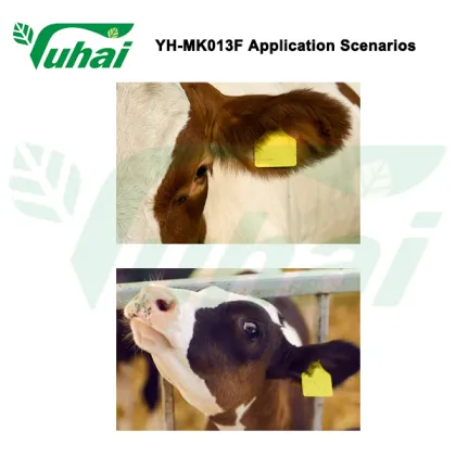 Farming Manage Livestock ID Tags