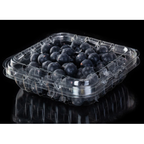 Plástico PET Fruta Clamshell / Punnet para arándanos