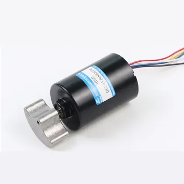 High Torque 12V/24V Micro Motors: 3650 Brushless DC Vibration Motors with Five/Wire Six-Break Planetary Gear Options