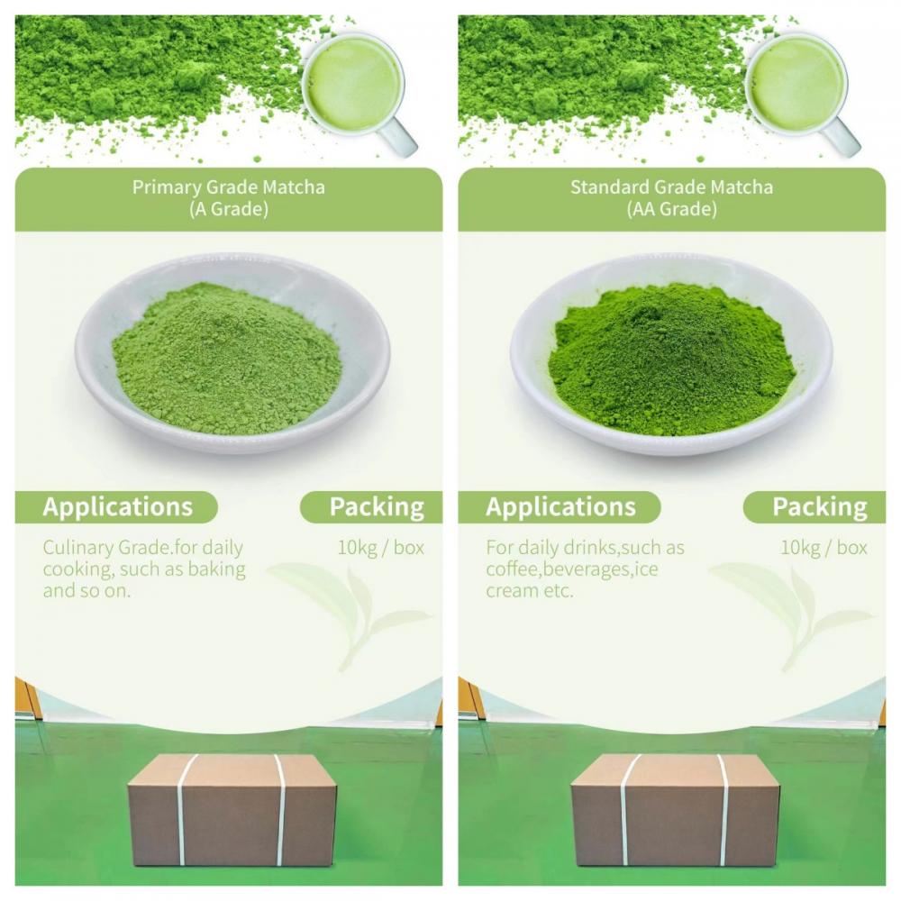 Organic Matcha Tea Powder